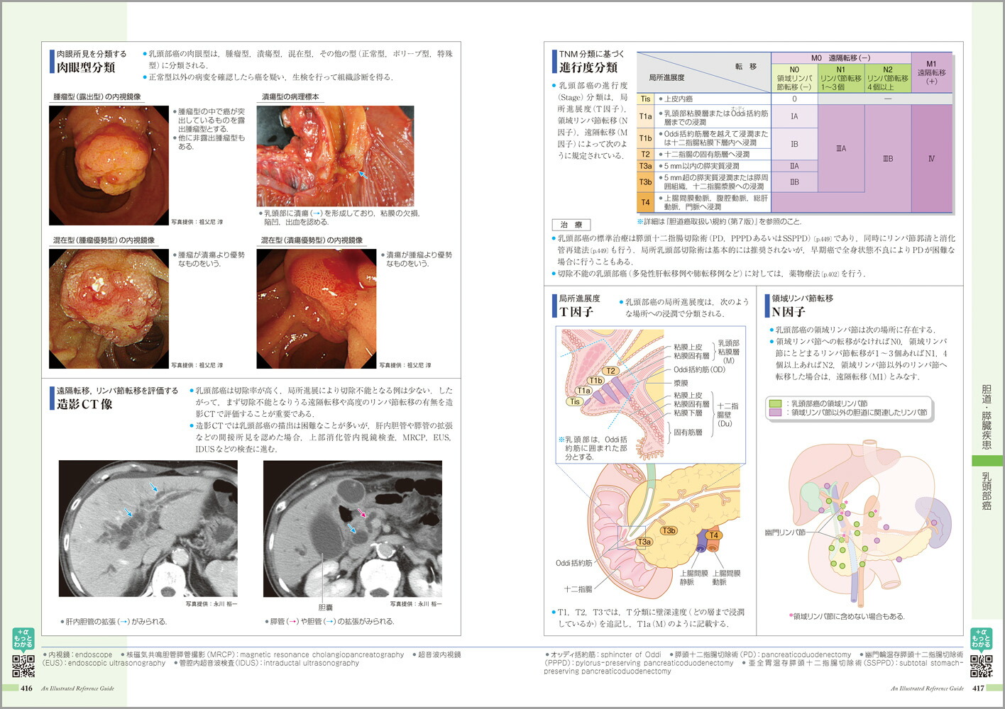 �µ����ߤ����vol.1�˾ò���[���ž���ʳظ����]