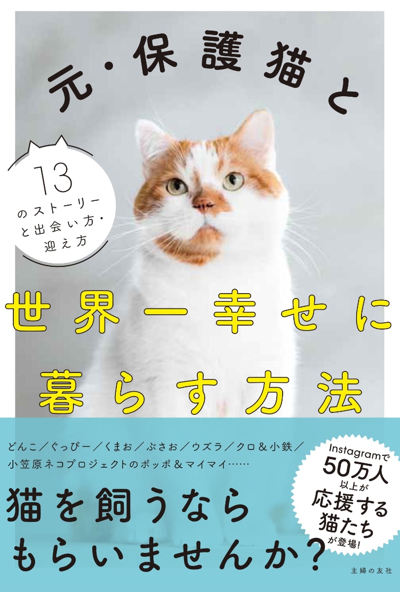 楽天ブックス 元 保護猫と世界一幸せに暮らす方法 主婦の友社 本