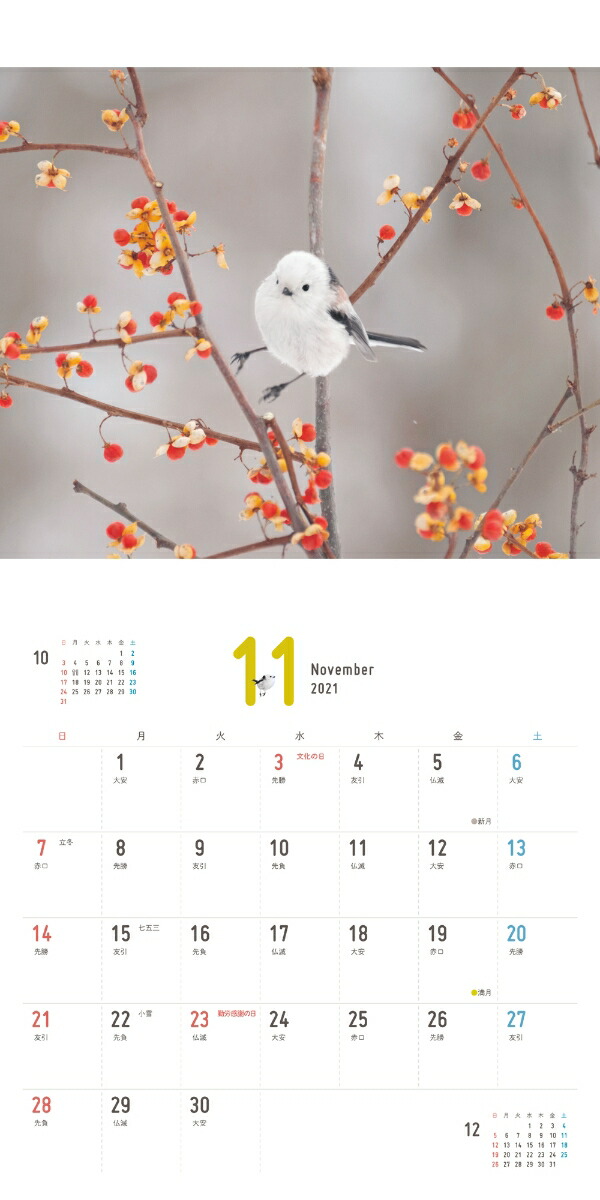 楽天ブックス まんまるかわいい雪の妖精シマエナガちゃんcalendar 21 本