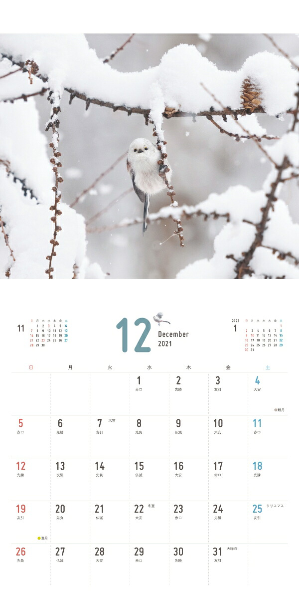 楽天ブックス まんまるかわいい雪の妖精シマエナガちゃんcalendar 21 本