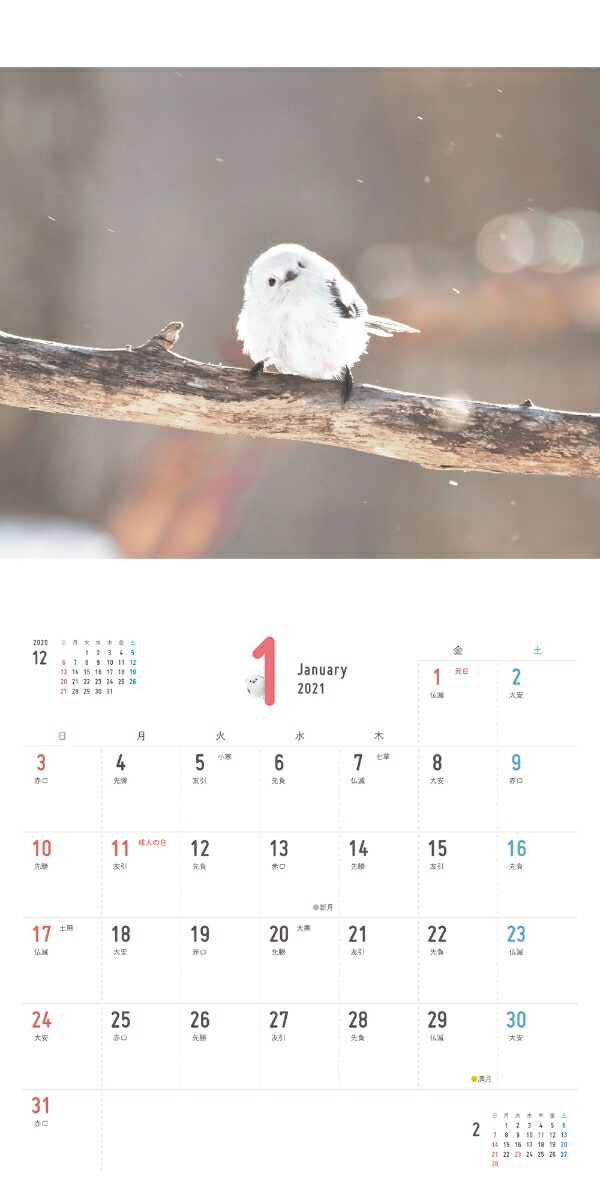 まんまるかわいい雪の妖精シマエナガちゃんcalendar 21 カレンダー