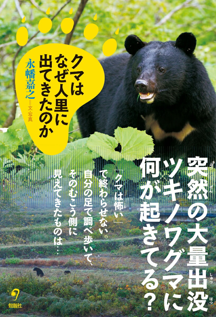 くま出品 楽天市場】【送料無料】クマはなぜ人里に出てきたのか／永幡嘉之
