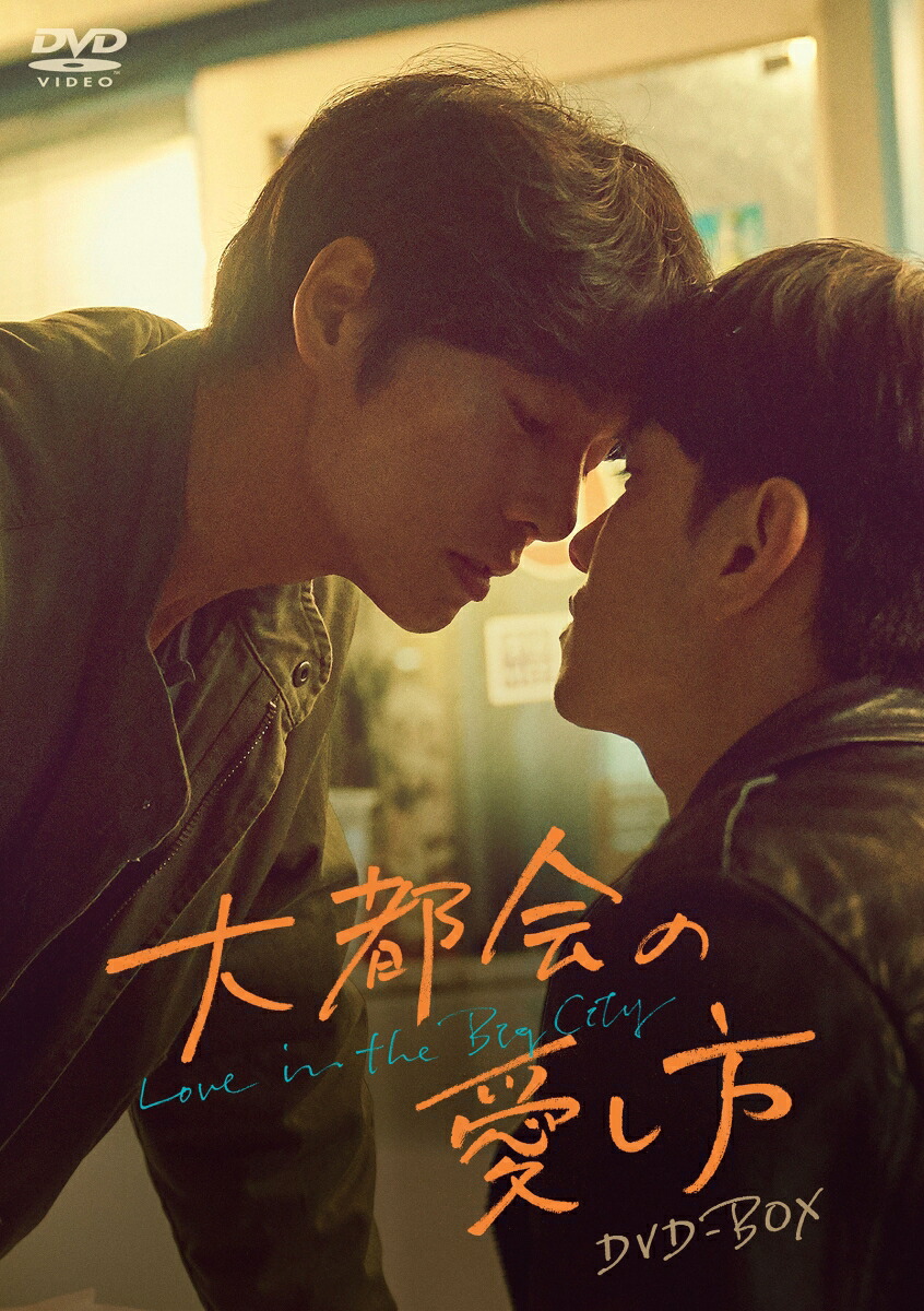 大都会の愛し方～LoveintheBigCity～DVD-BOX[ナム・ユンス]