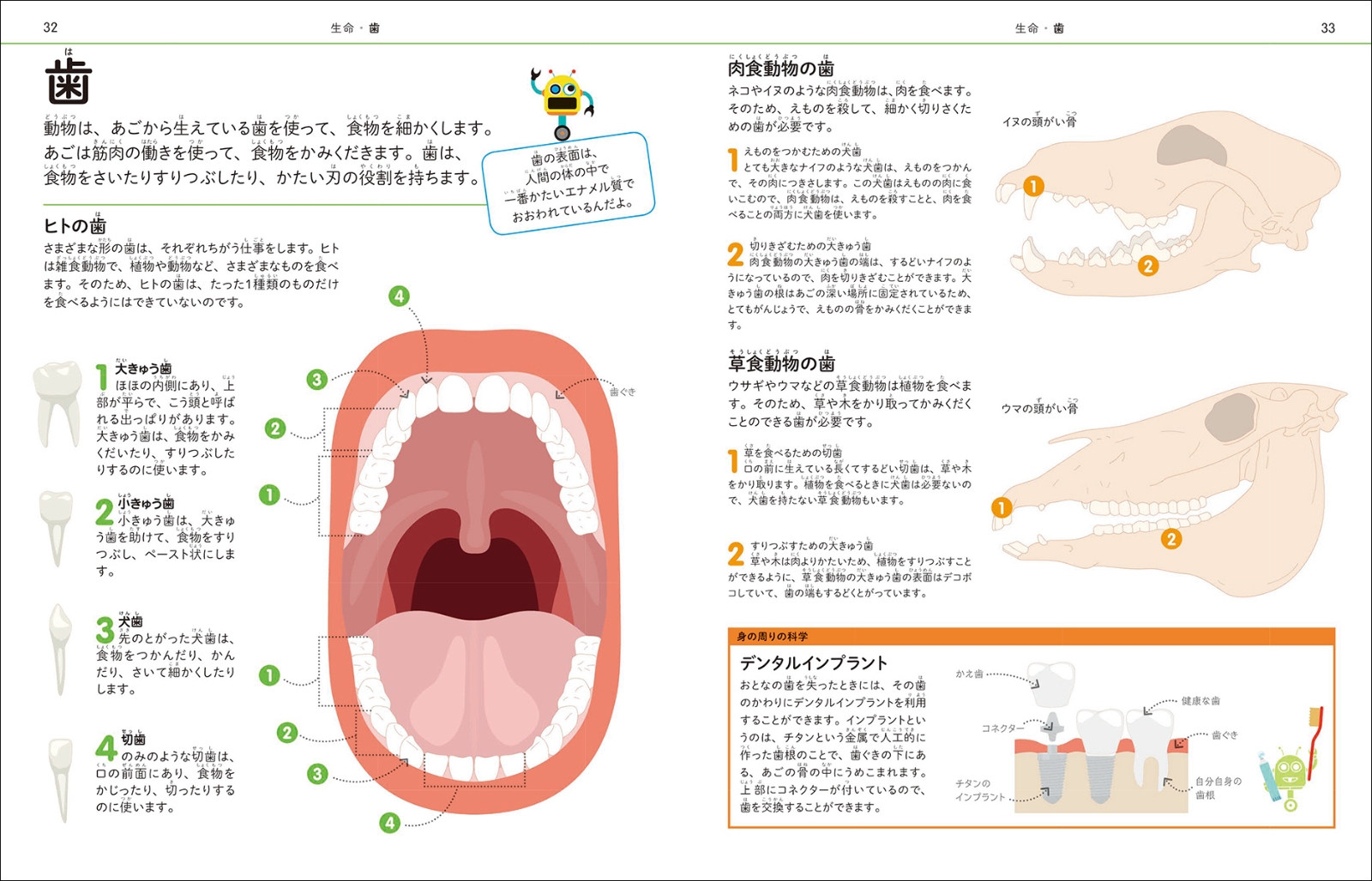 楽天ブックス 理科の図鑑 小学生のうちに伸ばしたい 世界基準の理系脳を育てる 子供の科学編集部 本