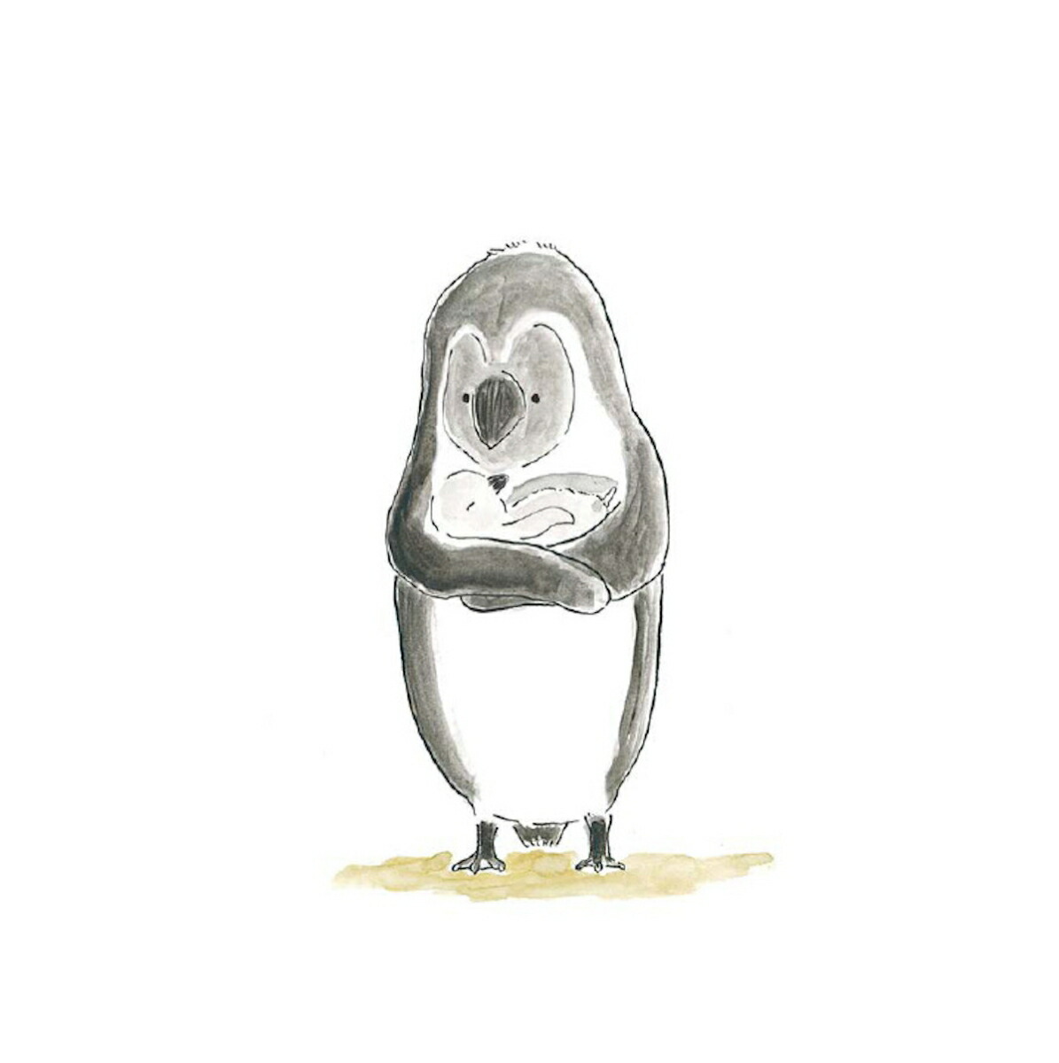 ���ߤ����ޤ줿�ҡ�asailingboatbook��[�ʤ뤫�路��]