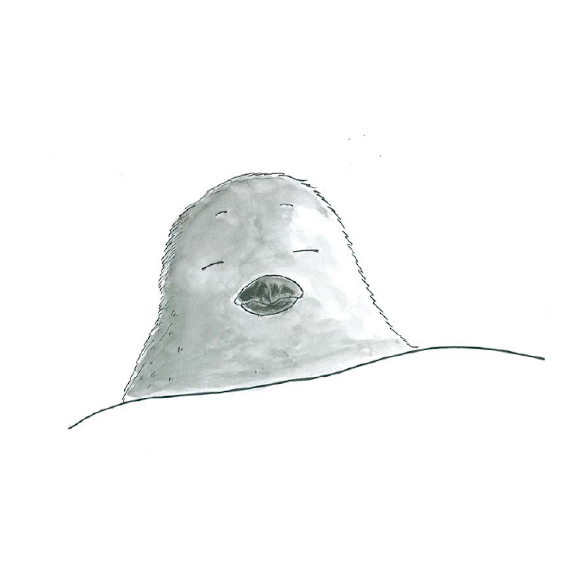 ���ߤ����ޤ줿�ҡ�asailingboatbook��[�ʤ뤫�路��]