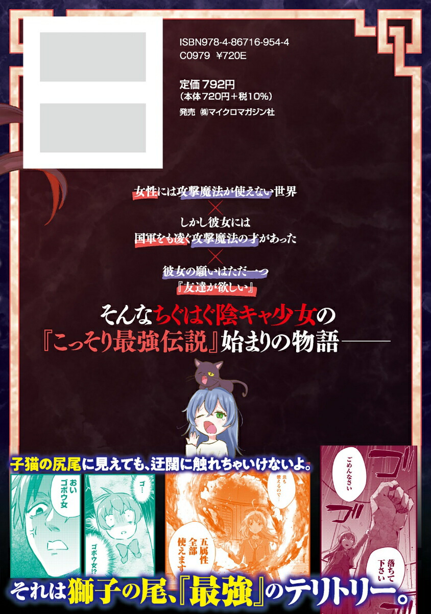 聖女様になりたいのに攻撃魔法しか使えないんですけど！？THECOMIC2（ライドコミックス）[久保田美冬]
