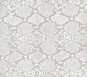 楽天ブックス Blankey Jet City 1991 1995 Blankey Jet City Cd