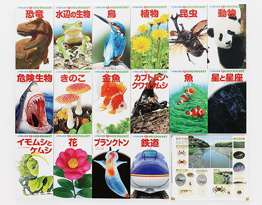 Amazon.co.jp: 小学館の図鑑NEO DVDつき(12巻セット) : 本