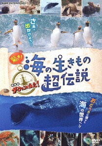 海獣館 かいじゅうかん ウォッチング KID-1402 [DVD] 9jupf8b Amazon.co.jp: 海獣館 かいじゅうかん ウォッチング KID-1402
