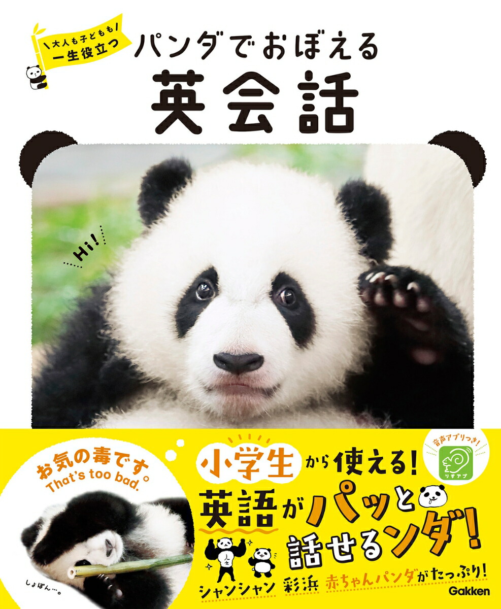 ѥǤܤѲͤҤɤΩ[ʡ˭ʸ]