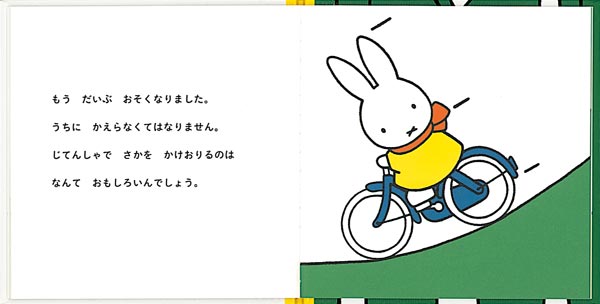 ȤƤ󤷤ʥ֥롼ʤγܡ[ǥå֥롼]