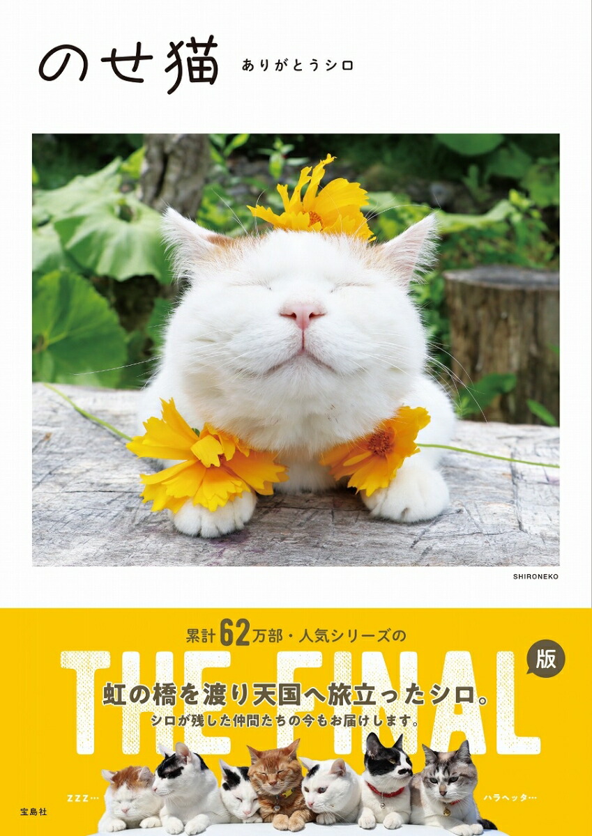 楽天ブックス のせ猫 ありがとうシロ Shironeko 本