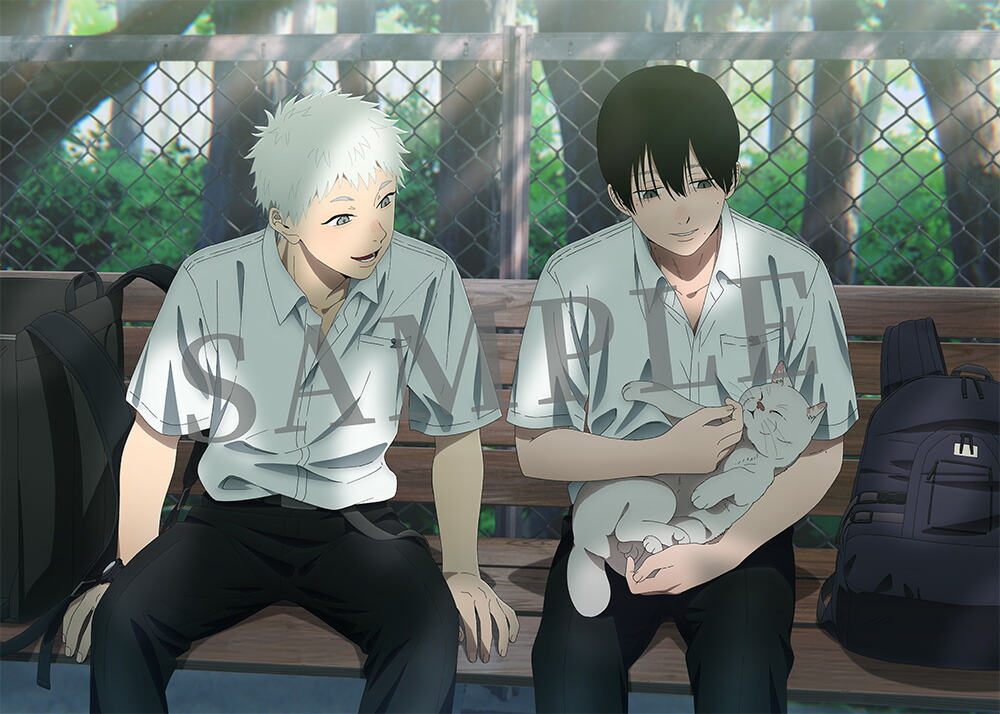 ブックス: 【ブックス限定全巻購入特典】光が死んだ夏 第2巻【Blu-ray】(アニメ描き下ろしイラスト使用光るアートパネル+アニメ描き下ろしイラスト使用アクリルスタンド) - 2100014509600 : DVD