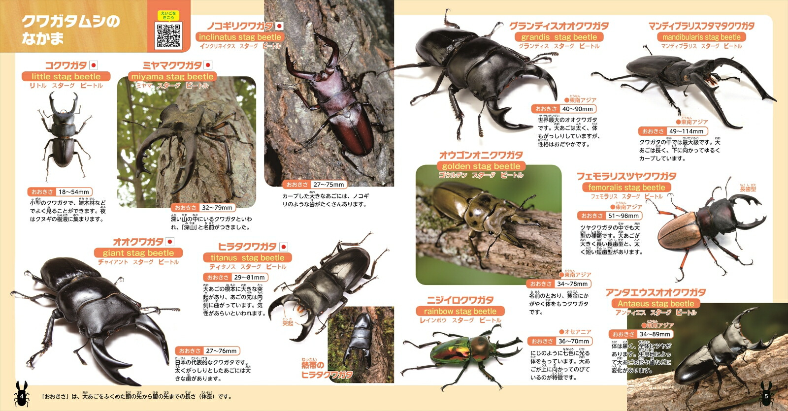 楽天ブックス 英語 虫の音がきける たのしい こんちゅうずかん 海野 和男 本