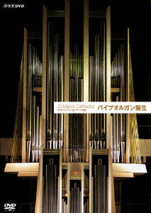 ★ クリスタルハープ 432hz 未使用品　ヒーリング楽器 楽天市場】【送料無料】432hz クリスタルハープ(Crystal Harp