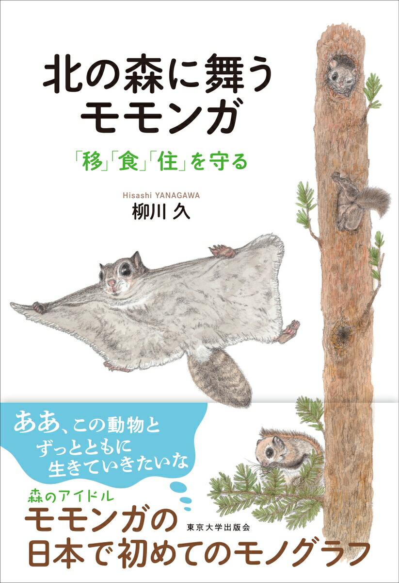 北の森に舞うモモンガ画像