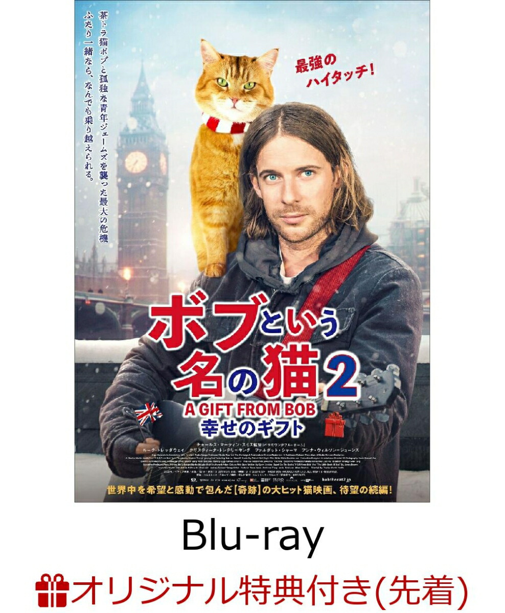 楽天ブックス: 【楽天ブックス限定先着特典】ボブという名の猫2