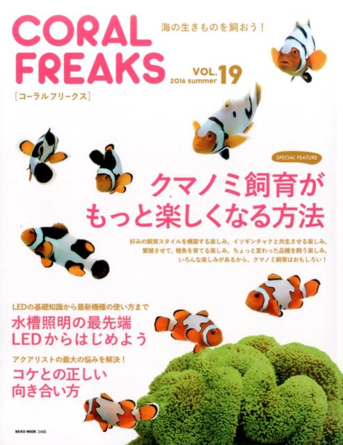 롦ե꡼VOL.19
