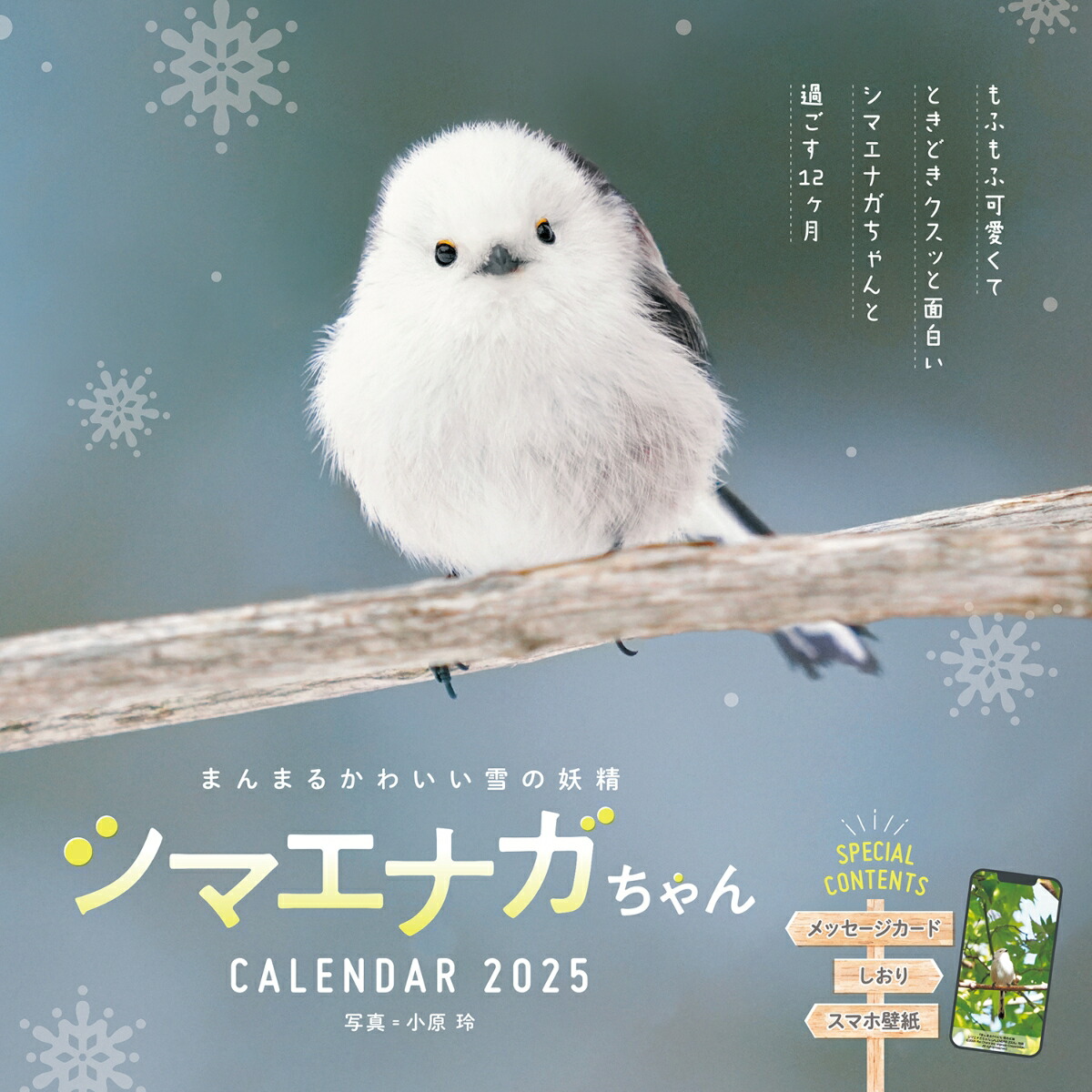 楽天ブックス: まんまるかわいい雪の妖精 シマエナガちゃん CALENDAR 2025 - 小原 玲 - 9784295019664 : 本