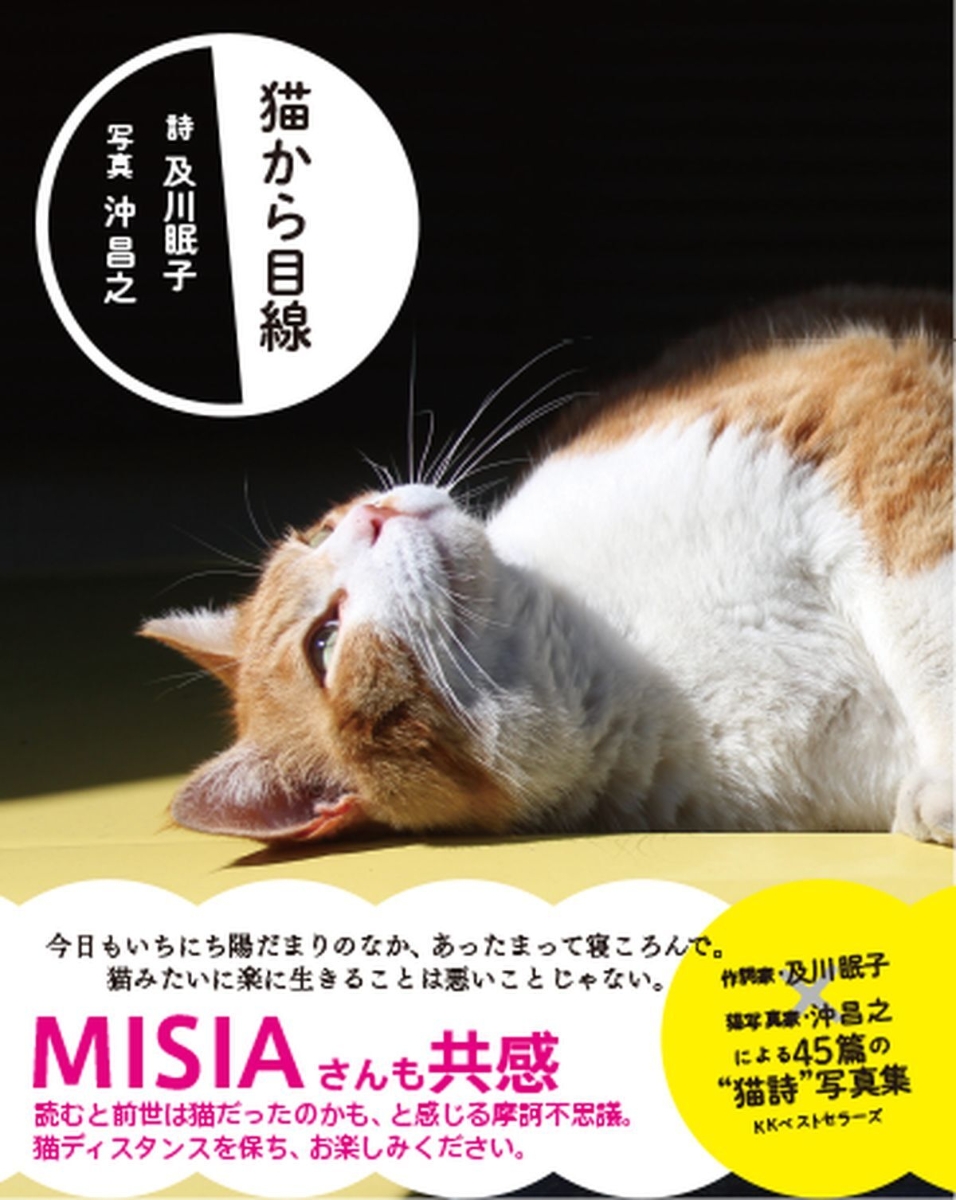 楽天ブックス: 猫から目線 - 及川眠子 - 9784584139677 : 本