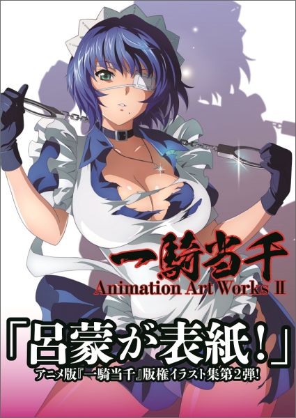 一騎当千 Animation Art Works II 楽天ブックス: 一騎当千Animation Art Works（2） - 9784847039683 : 本