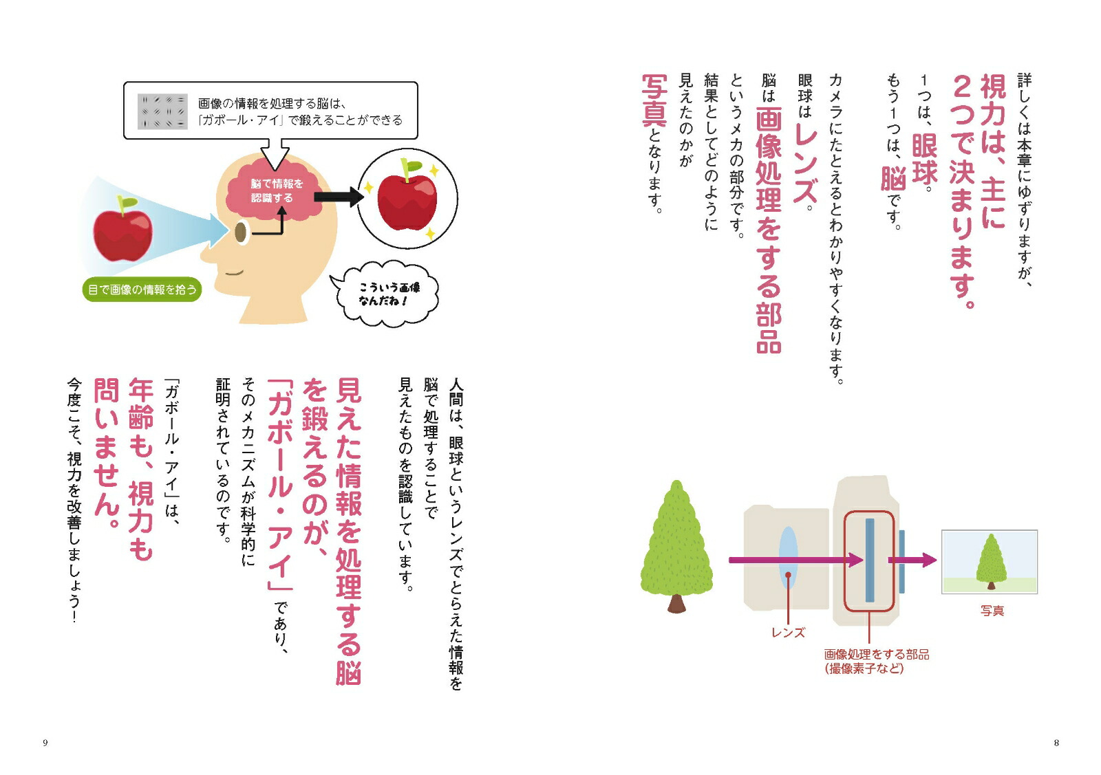 1��3ʬ��������Ǥ��󤰤��ܤ��褯�ʤ롪���ܡ��롦����[ʿ����]