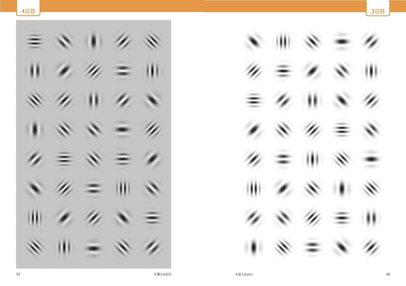 1��3ʬ��������Ǥ��󤰤��ܤ��褯�ʤ롪���ܡ��롦����[ʿ����]