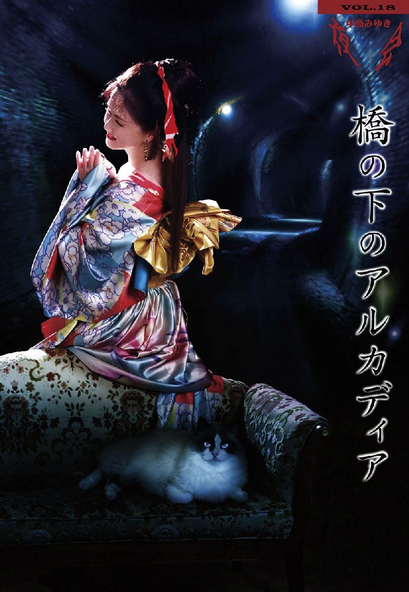 【楽天最安値に挑戦】 夜会 楽天ブックス: VOL.18 【Blu-ray 橋の下のアルカディア ミュージック