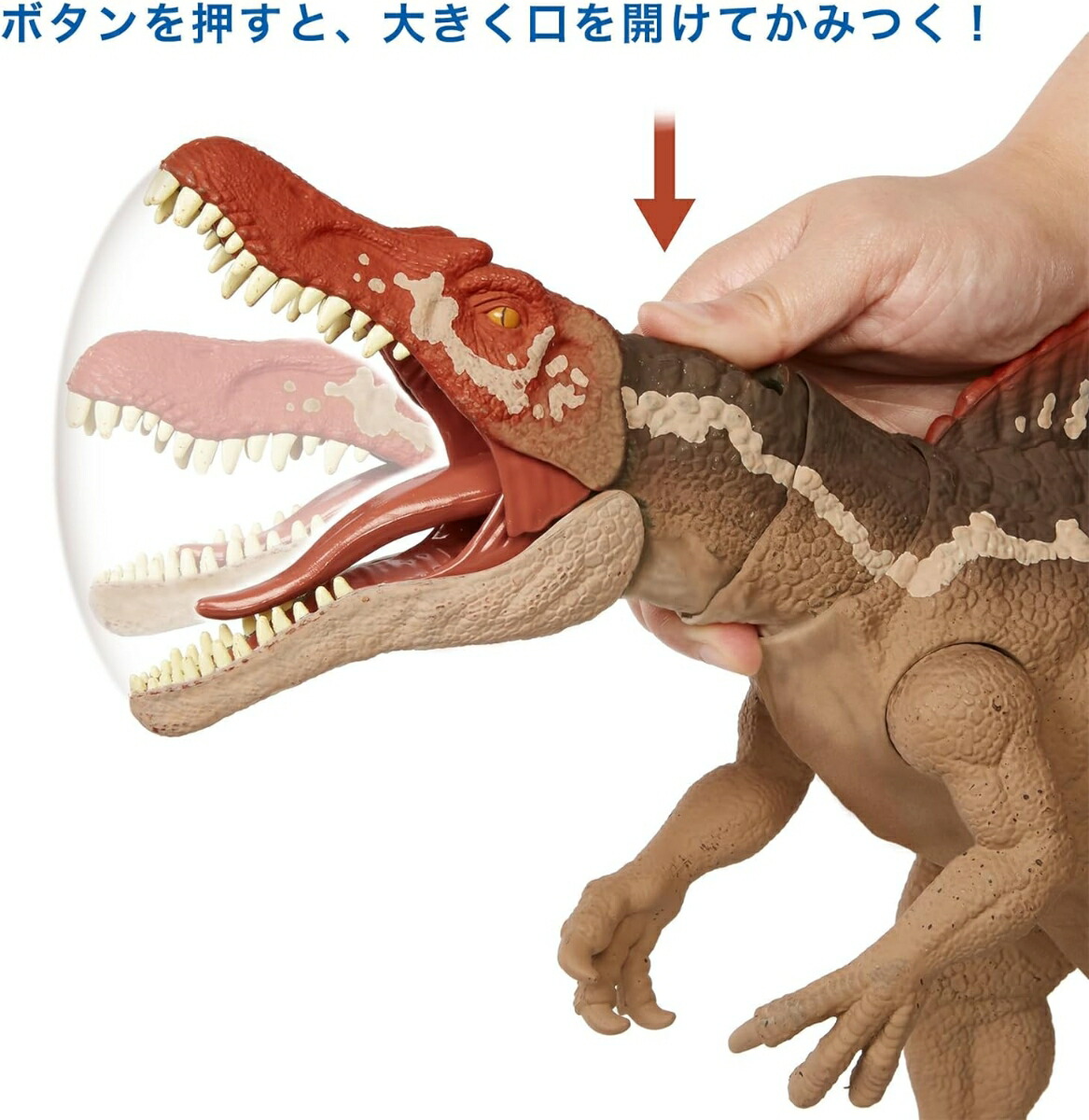 �ޥƥ른��饷�å�����(JURASSICWORLD)���ߤĤ������ԥΥ����륹�ڶ�ε�������ۡ���Ĺ��55cm�ۡ�4�Џ����HCG54