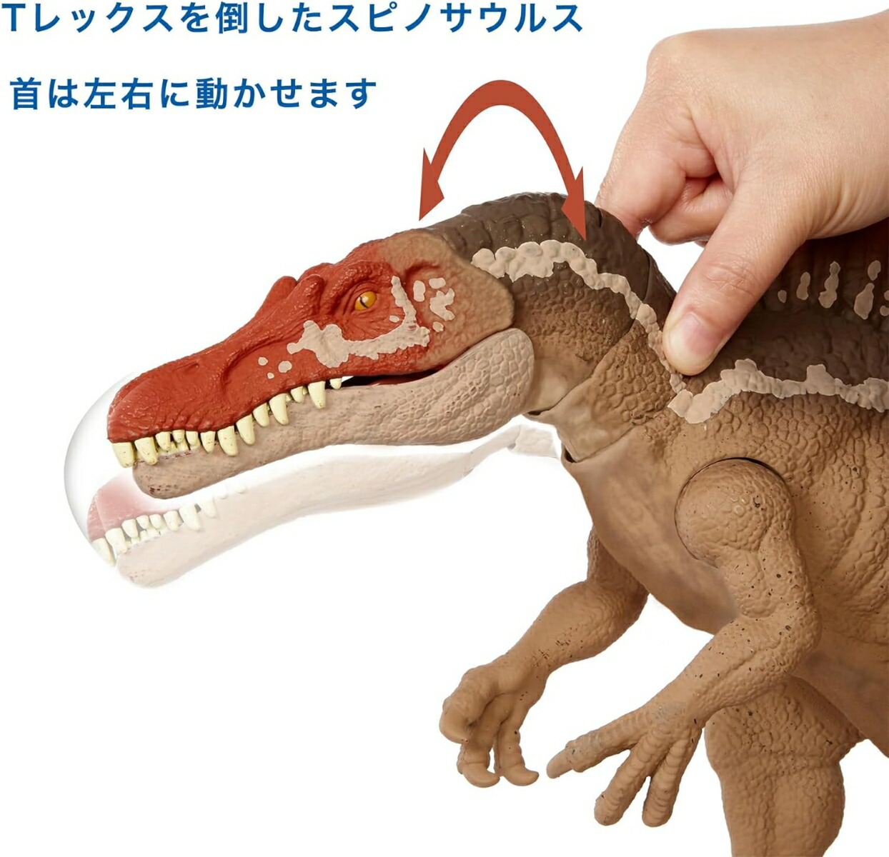 �ޥƥ른��饷�å�����(JURASSICWORLD)���ߤĤ������ԥΥ����륹�ڶ�ε�������ۡ���Ĺ��55cm�ۡ�4�Џ����HCG54