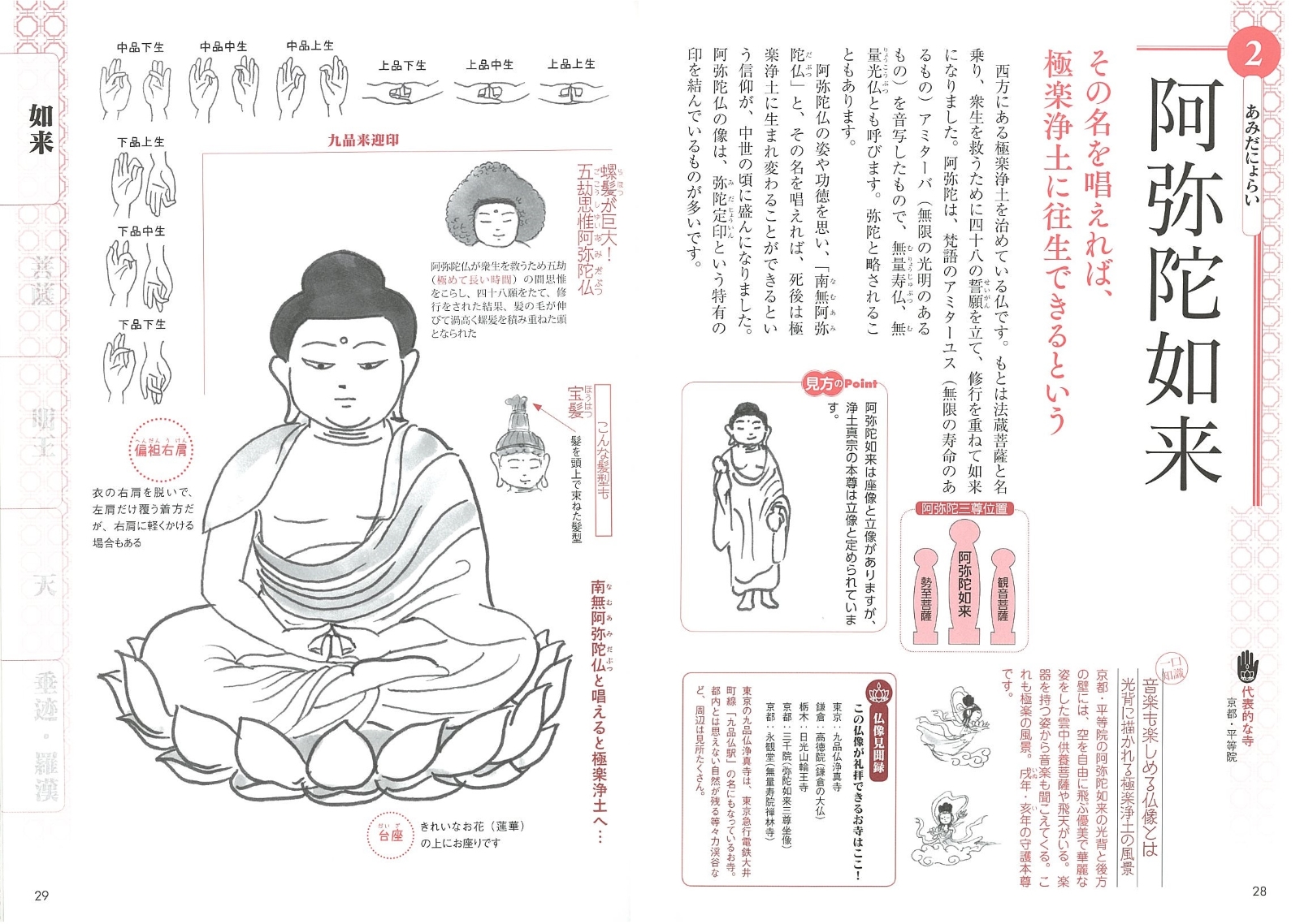 楽天ブックス お寺の仏像 イラスト図鑑 見わけかたがわかる本 さとう 有作 本