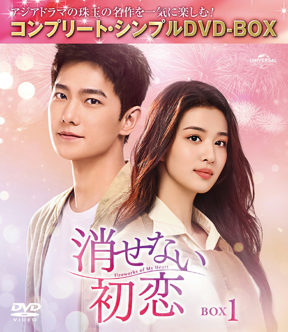 消せない初恋 BOX1 ＜コンプリート・シンプルDVD-BOXシリーズ＞【期間限定生産】画像