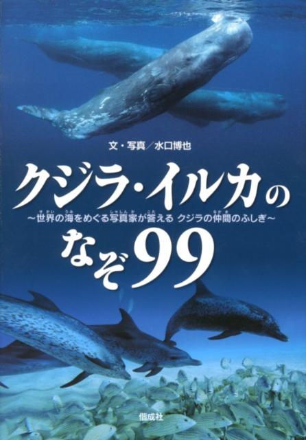 楽天ブックス クジラ イルカのなぞ99 世界の海をめぐる写真家が答えるクジラの仲間のふしぎ 水口博也 本