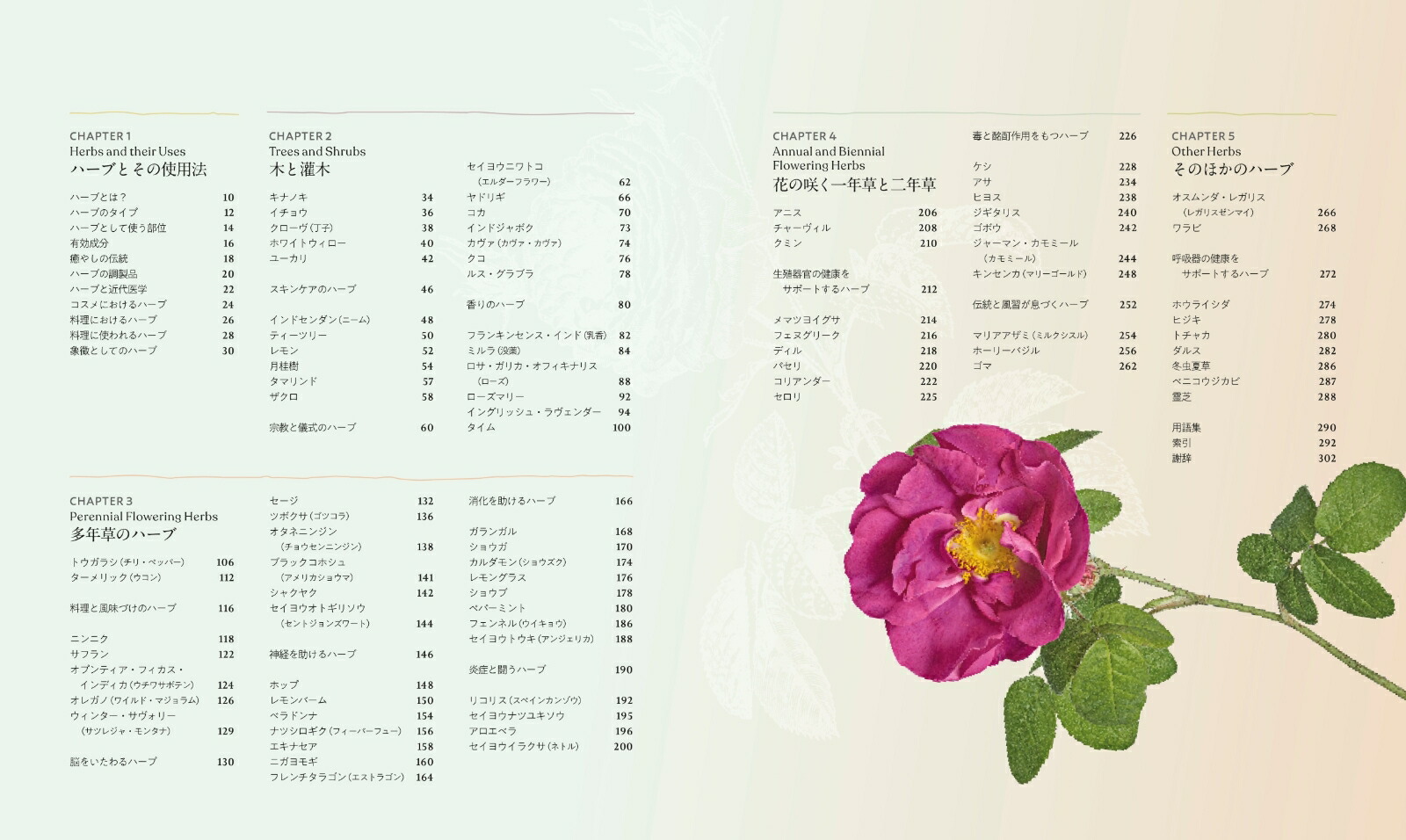 �����Υϡ�����ˤȸ�ǽ��Ҥ�Ȥ���ʪ�޴�[DK��]