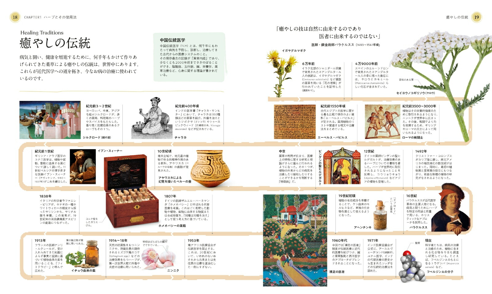 �����Υϡ�����ˤȸ�ǽ��Ҥ�Ȥ���ʪ�޴�[DK��]