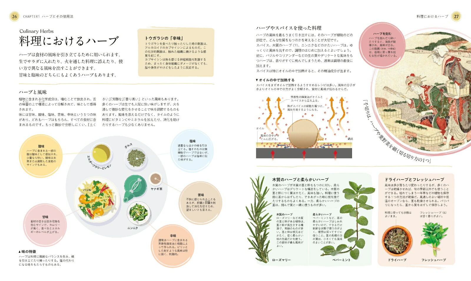 �����Υϡ�����ˤȸ�ǽ��Ҥ�Ȥ���ʪ�޴�[DK��]