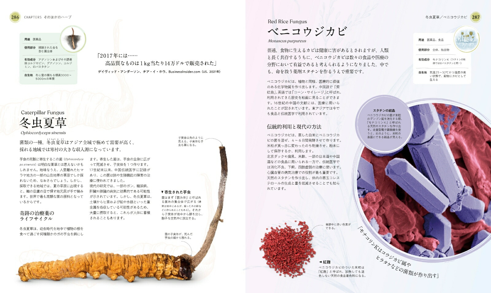 �����Υϡ�����ˤȸ�ǽ��Ҥ�Ȥ���ʪ�޴�[DK��]