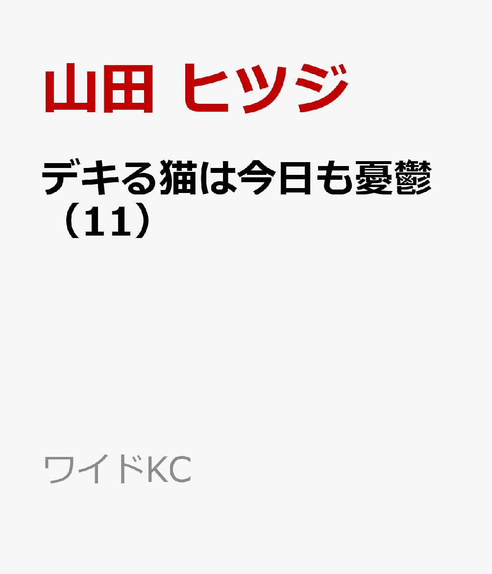 ǥǭϺͫݵ11ˡʥ磻KC[ĥҥĥ]