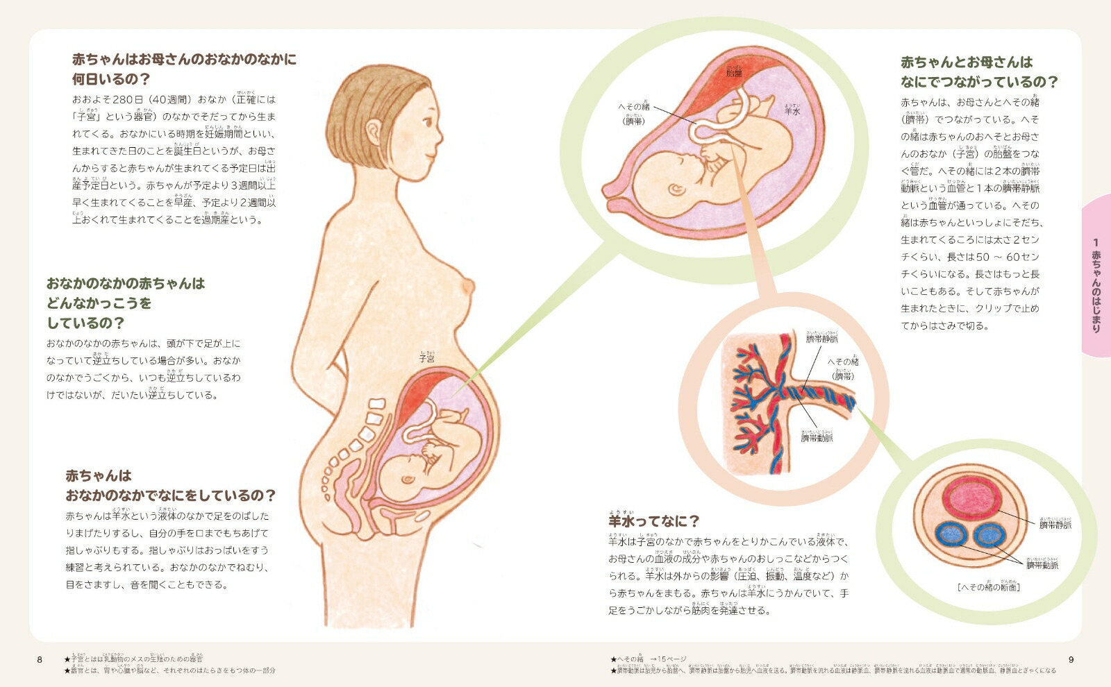 楽天ブックス 赤ちゃんのふしぎ 科学ずかん 高橋 孝雄 本