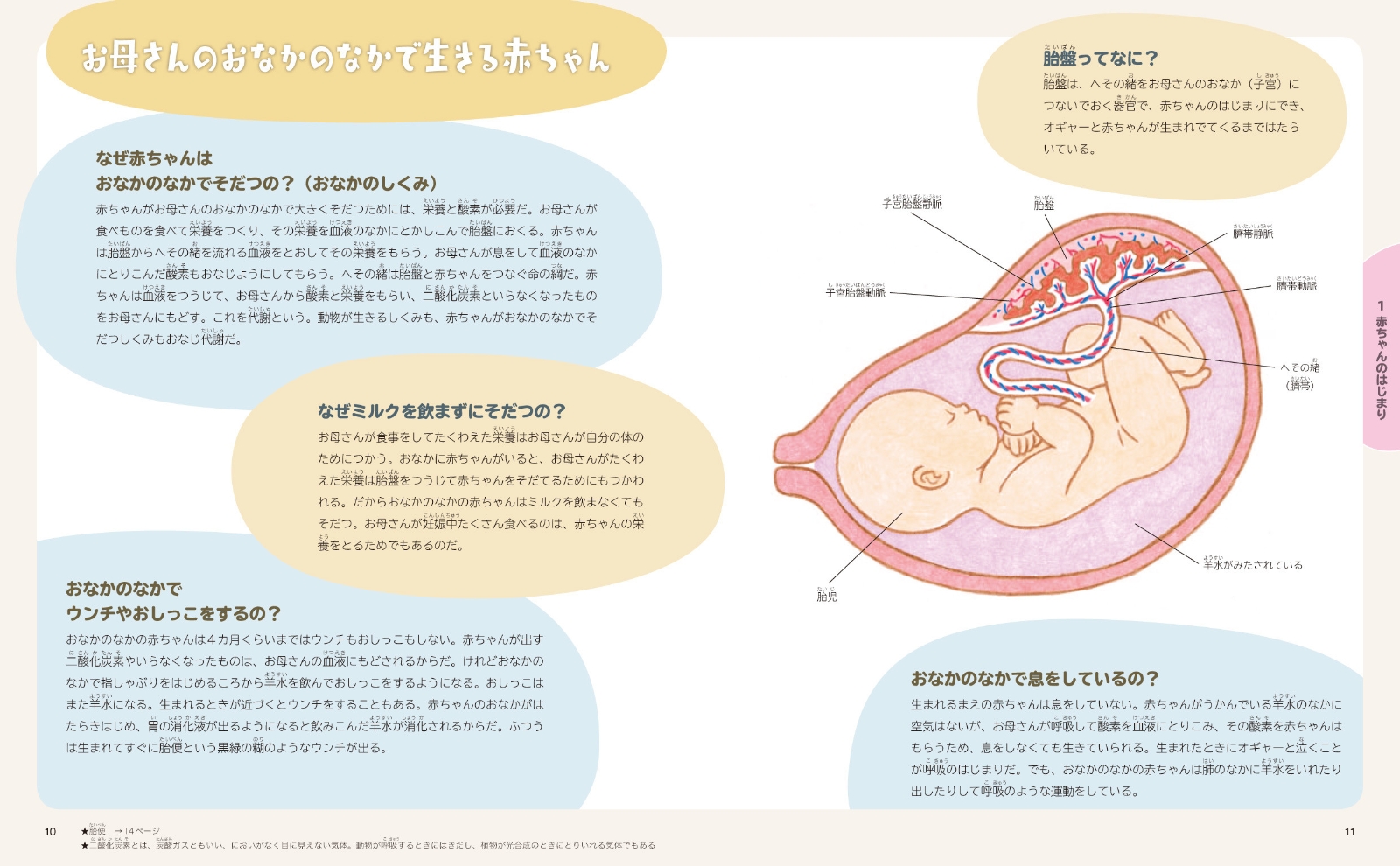 楽天ブックス 赤ちゃんのふしぎ 科学ずかん 高橋 孝雄 本