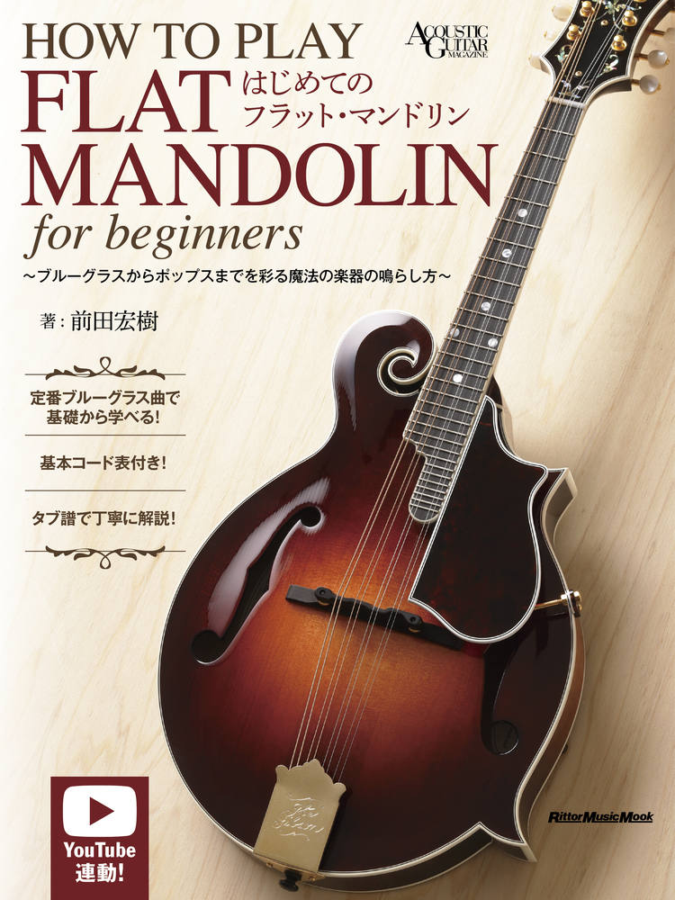 美品　Aria フラットマンドリン 　サンバースト ARIA AM-20E エレクトリックフラットマンドリン(アリア