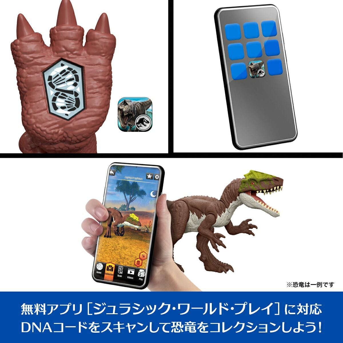 ޥƥ른饷å(JURASSICWORLD)ե奢ۤ롪륹Ҷե奢εĹ:31.2cm4Ф֥饦JGB88