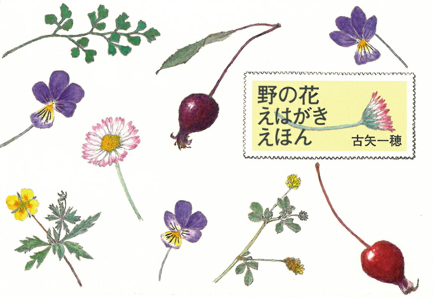 ��β֤��Ϥ������ۤ�[�������]