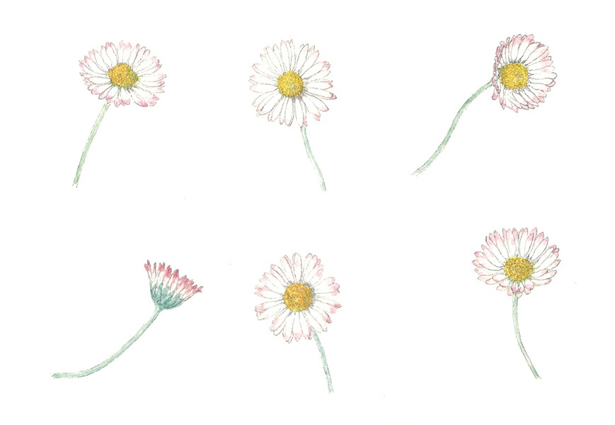 ��β֤��Ϥ������ۤ�[�������]