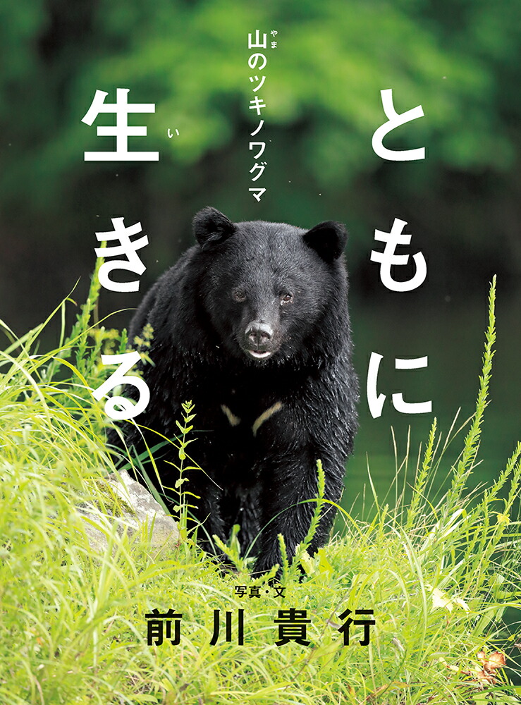 楽天市場】【送料無料】クマはなぜ人里に出てきたのか／永幡嘉之