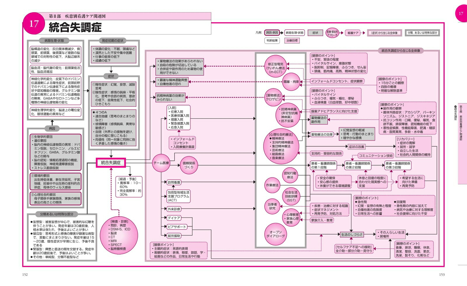 エビデンスに基づく精神科看護ケア関連図改訂版[川野雅資]