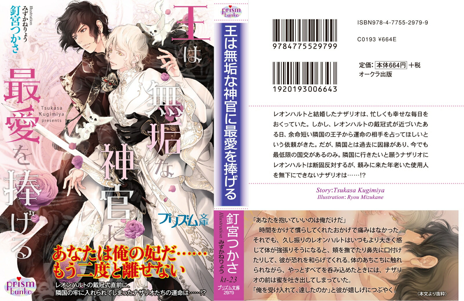 ̵ʿ˺ǰʥץꥺʸˡ[ţܤĤ]