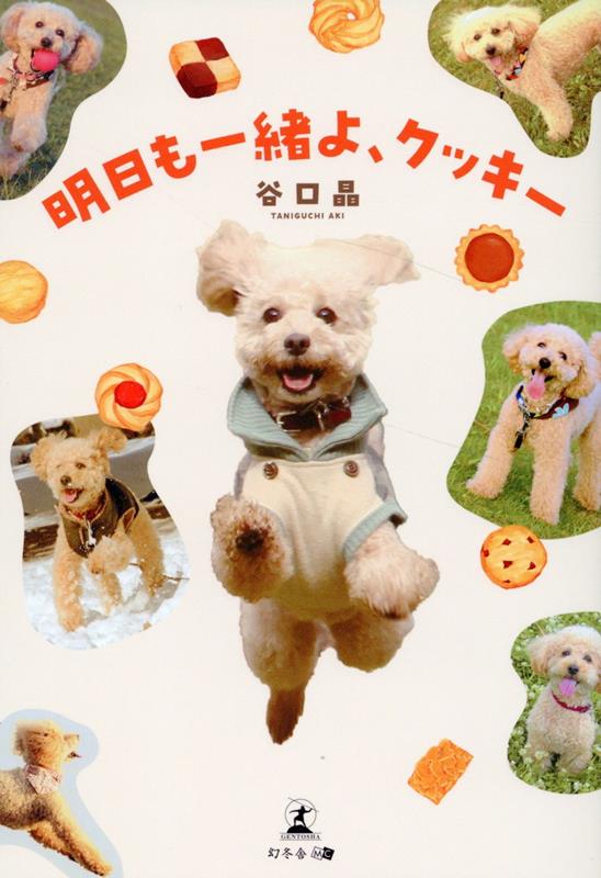 衢å[ë]
