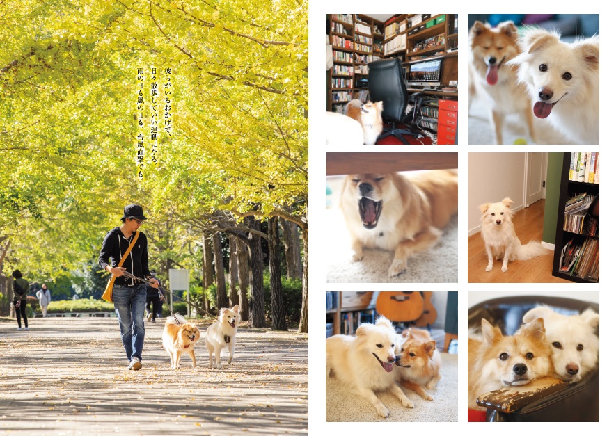 【特典付】犬の笑顔が見たいから[穴澤賢]